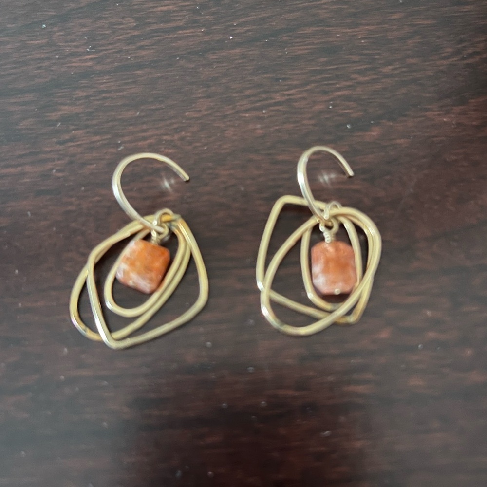 Elegant Gold and Brown Earrings
